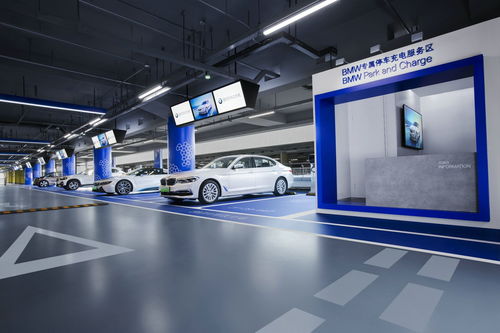 寶馬攜手國網電動汽車公司，深化技術開發戰略合作